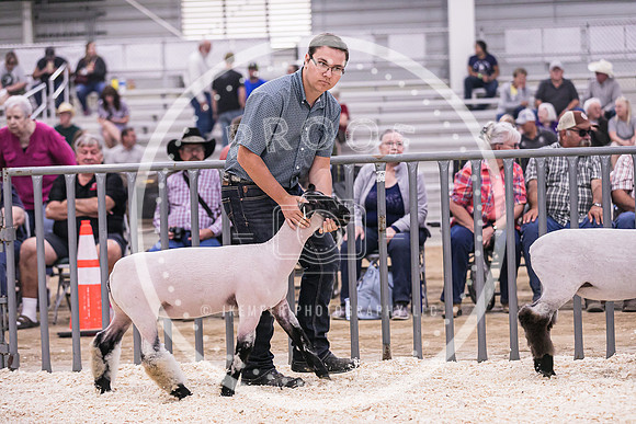 Market Lambs-4783