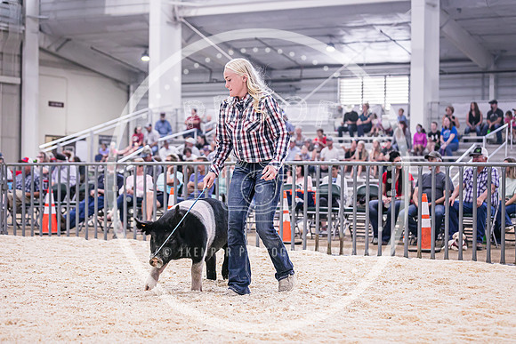 Swine Market-7229