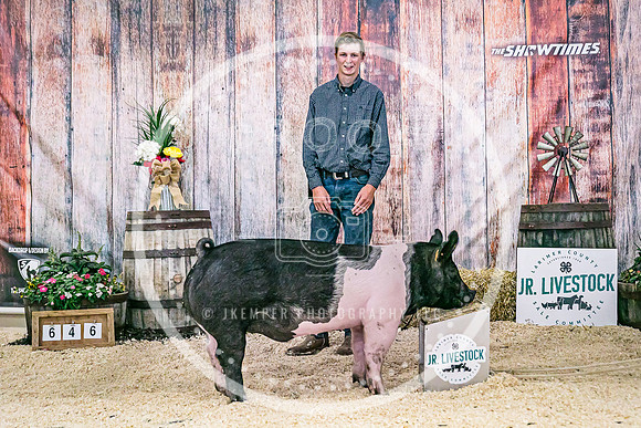 Swine Backdrop-8275