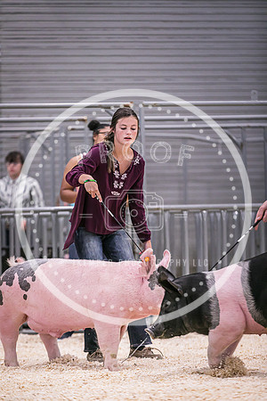 Swine Showmanship-6021