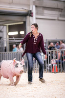 Swine Showmanship-6035