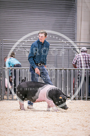 Swine Showmanship-6016
