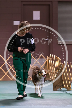 Dog Obedience 2021-5506