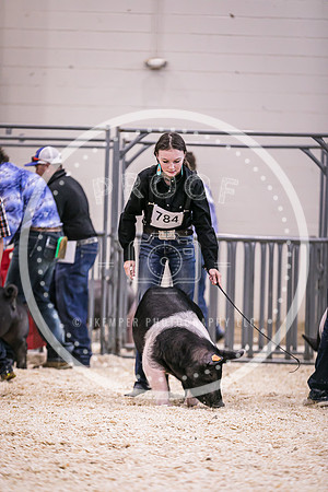 Swine Market-7253