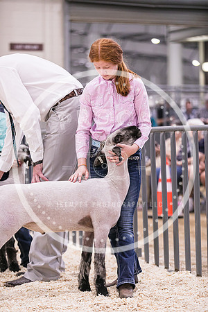 Market Lambs-4822