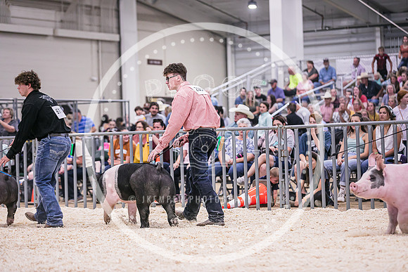 Swine Showmanship-6066