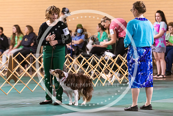Dog Obedience 2021-5502