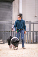 Swine Showmanship-6018