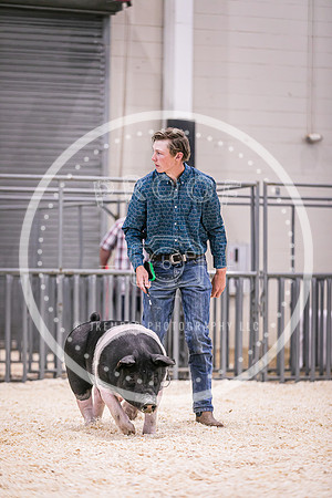 Swine Showmanship-6018