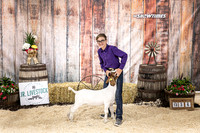 Goats- Backdrop-3341