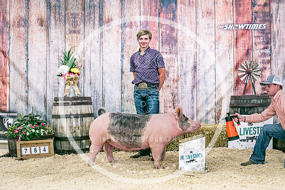 Swine Backdrop-8088