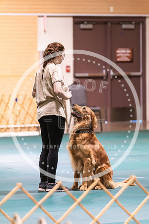 Dog Obedience 2021-5430