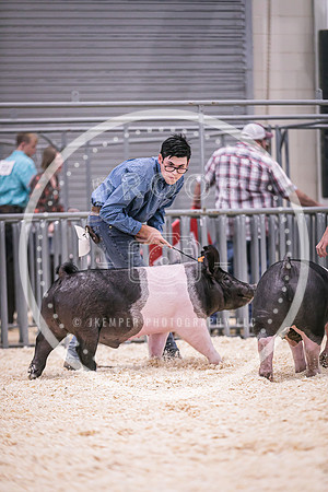 Swine Showmanship-6044
