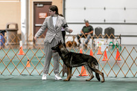 2024 4-H Dog Show SATURDAY-7265