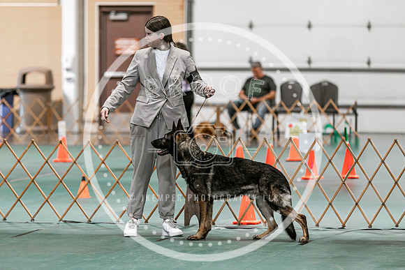 2024 4-H Dog Show SATURDAY-7265