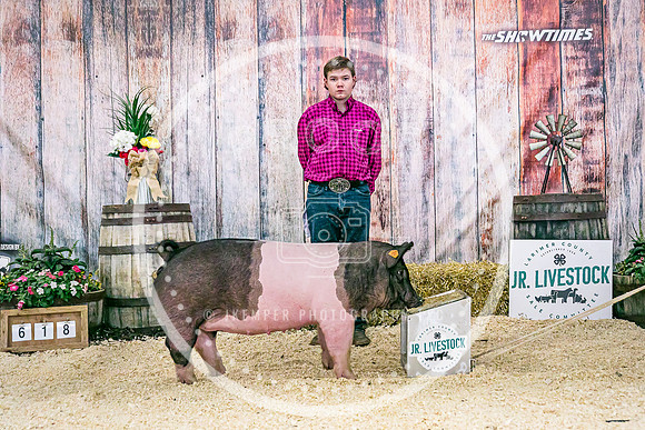 Swine Backdrop-8099