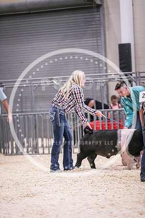 Swine Market-7248