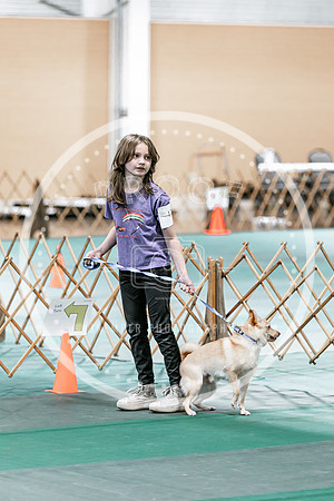 2024 4-H Dog Show SATURDAY-7279