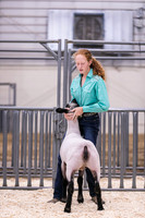 Sheep Showmanship-3604