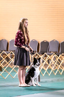 Dog Obedience 2021-5367