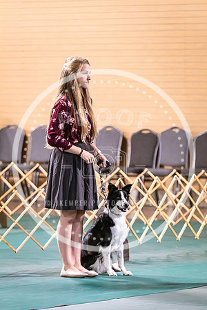 Dog Obedience 2021-5367
