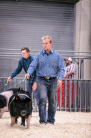 Swine Showmanship-6028