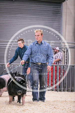 Swine Showmanship-6028