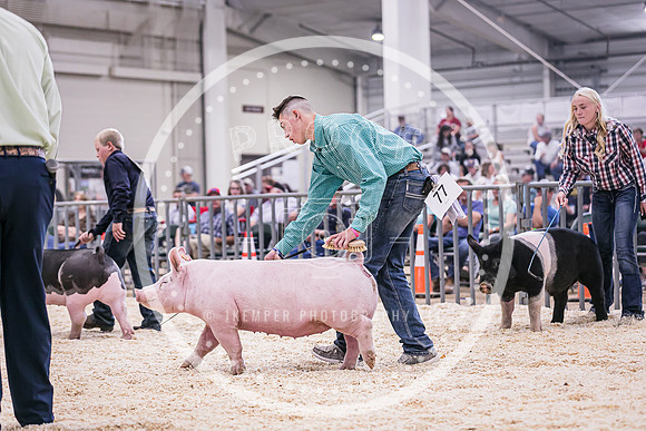Swine Market-7238