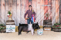 Swine Backdrop-8027