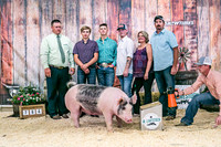 Swine Backdrop-8079