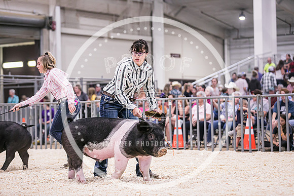 Swine Showmanship-6047