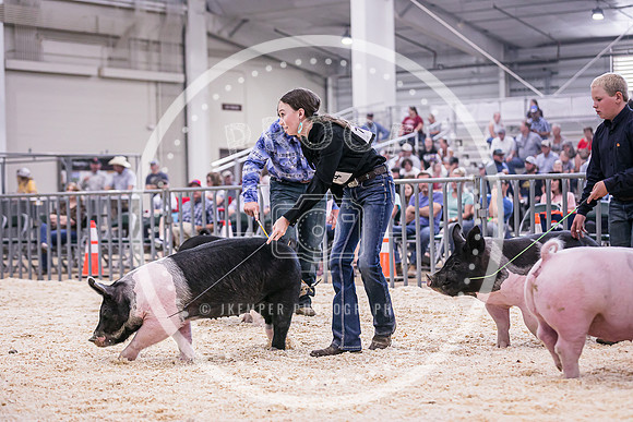 Swine Market-7235