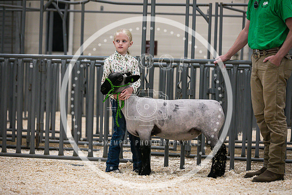 Peewee-4584