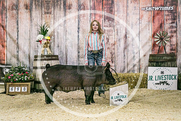Swine Backdrop-8189