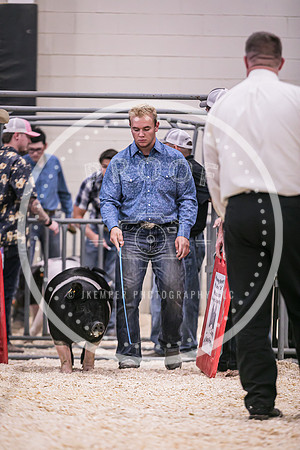 Swine Showmanship-6025