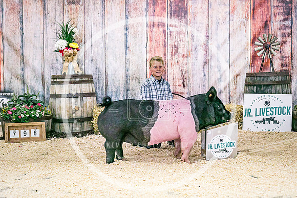 Swine Backdrop-8236