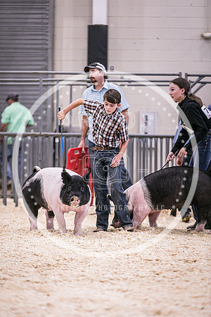 Swine Market-7252