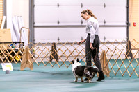 Dog Obedience 2021-5397