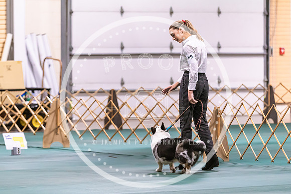 Dog Obedience 2021-5397