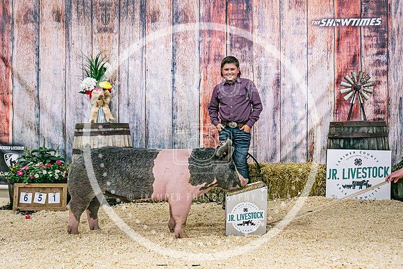 Swine Backdrop-8121