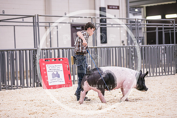 Swine Market-7214
