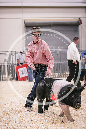 Swine Showmanship-6059