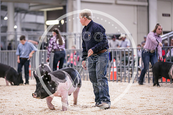 Swine Market-7221