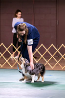 Dog Obedience 2021-5400