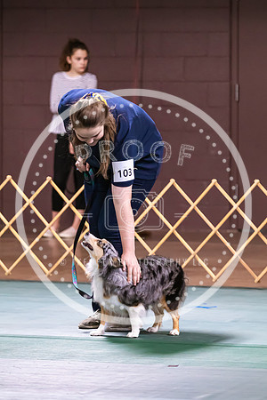 Dog Obedience 2021-5400