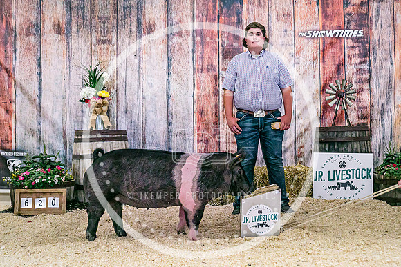 Swine Backdrop-8168