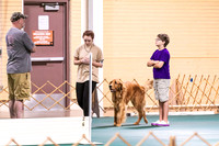 Dog Obedience 2021-5403