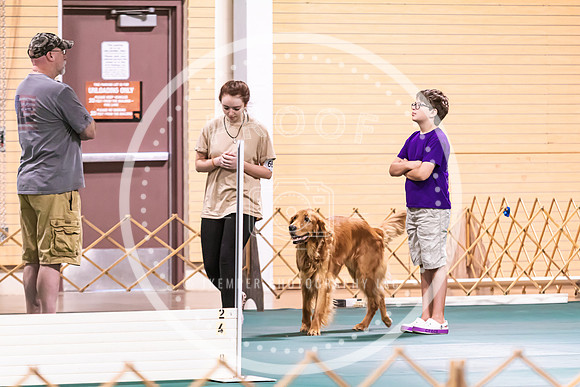 Dog Obedience 2021-5403