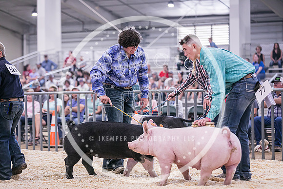 Swine Market-7236
