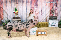Swine Backdrop-8094